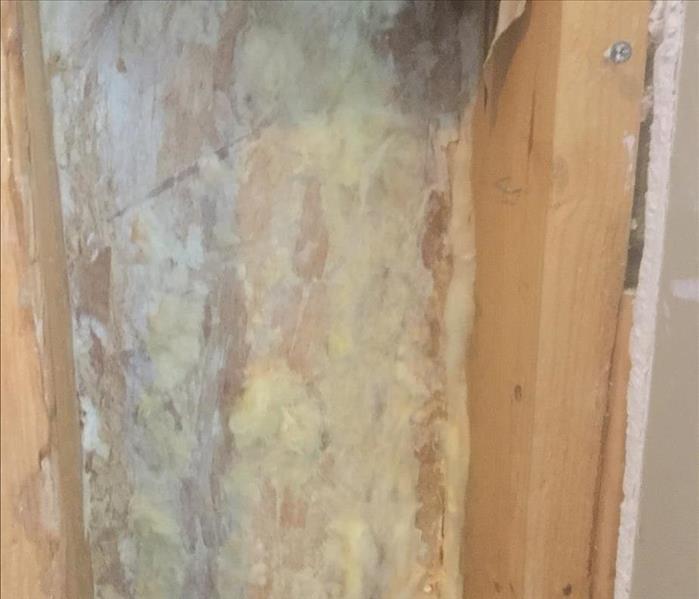 A picture of a wall cavity with mold all over it