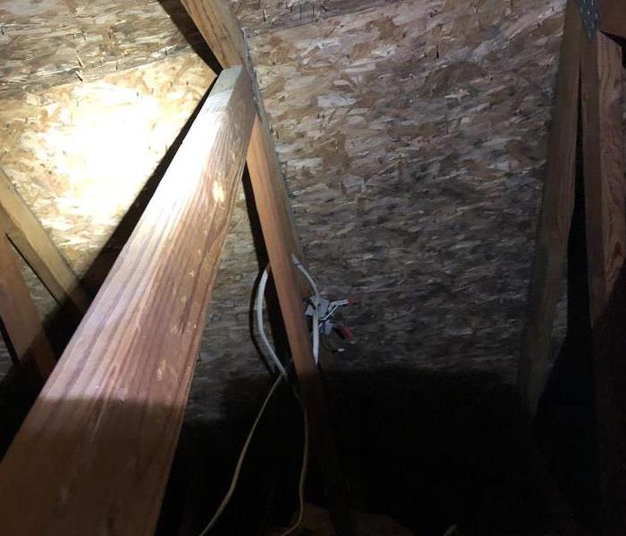 In an attic mold is found growing on the joists and roof
