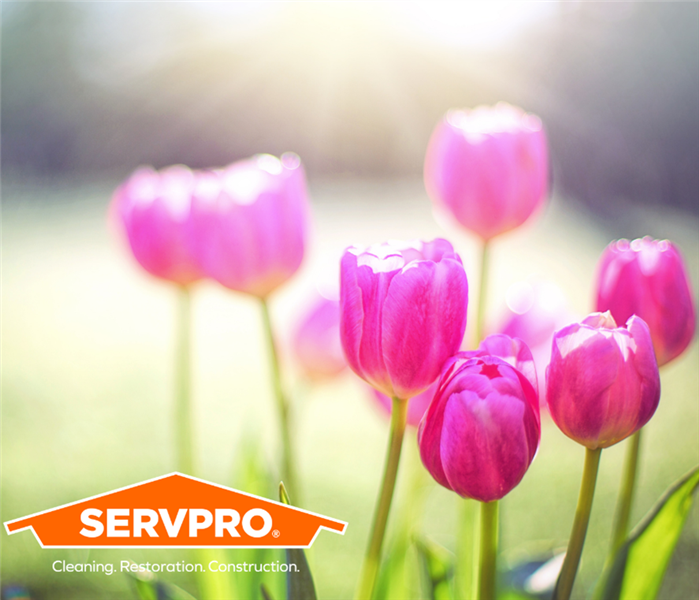 flowers in field with servpro logo