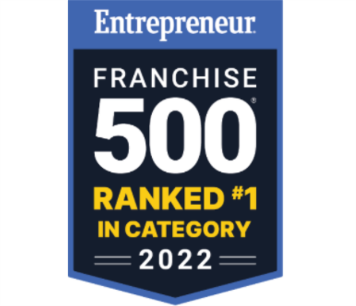 franchise 500 blue flag