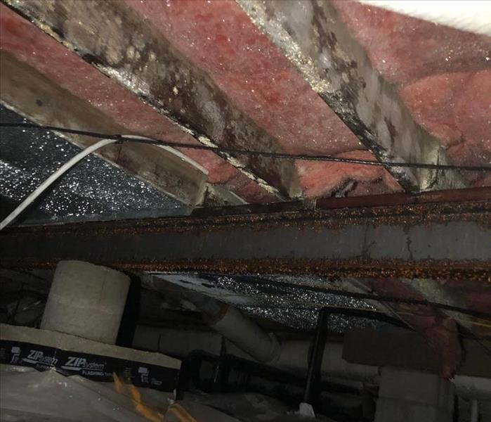 A crawlspace with mold growing on joists and insulation
