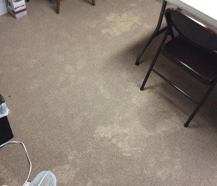 Darkened areas of carpet belies the wet pad underneath.