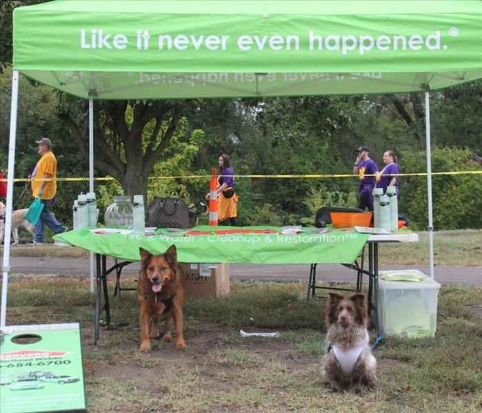 two dogs in front of a servpro tent at event